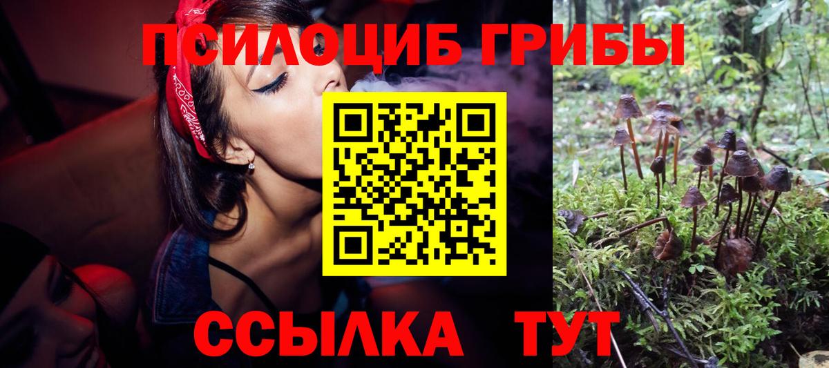 Галлюциногенные грибы Psilocybe  Вход с VPN  Южноуральск 